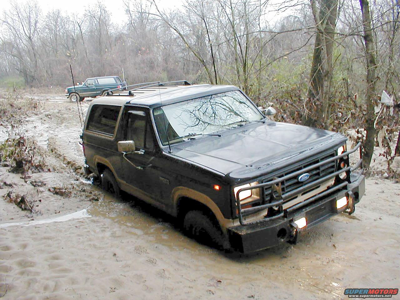 1983 Ford bronco picture gallery #4