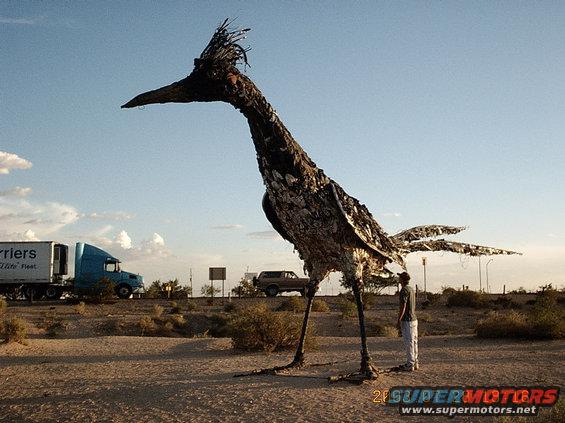 roadrunner3.jpg giant roadrunner (me standing right beside it 5'6 tall) at a rest stop west of las cruces off of I10 with bronco in the back ground