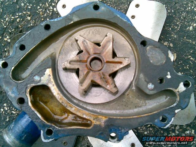 Ford pump impeller #5