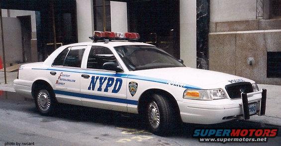 nypd552.jpg NYPD