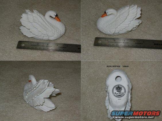 swan.jpg 