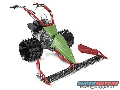 swiss_1_maehb_288_web.jpg 