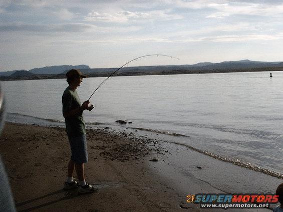 imag0012.jpg Me cought a about 5 to 6 pound carp on an ultra lite rod and reel. talk about fun