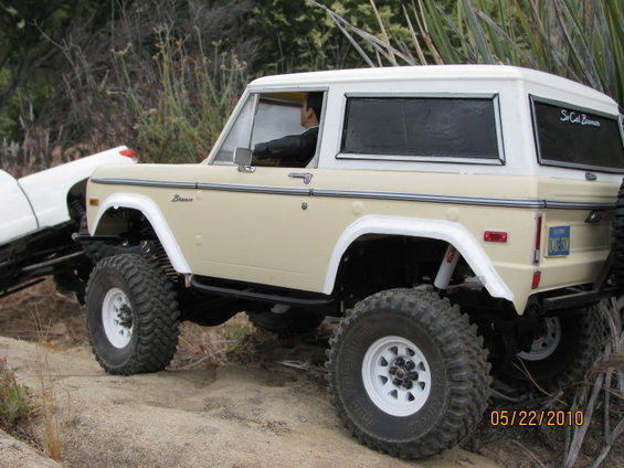 eb1-bronco.jpg 