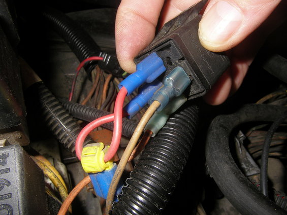 exposed-relay-wiring-connectors.jpg 