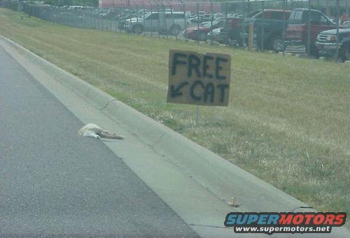 funnysignfreedeadcatonhighway.jpg 