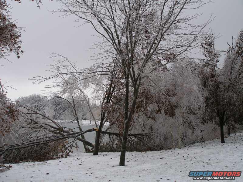 looking-east-at-the-pond.jpg 