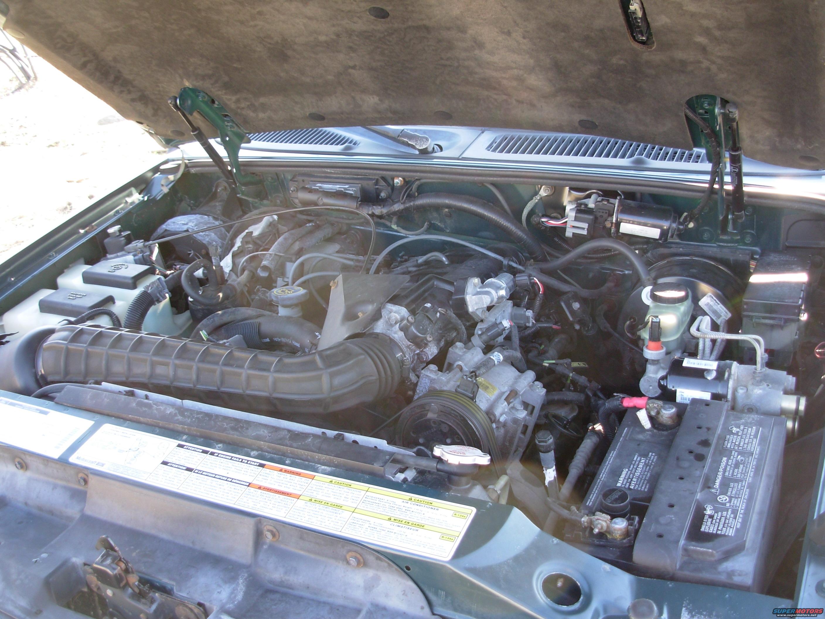 1997 Ford Explorer Engine Bay Picture Supermotors Net