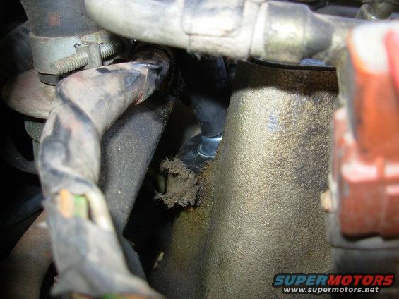 pcva.jpg As soon as the spark plug wire was fixed, the engine started surging, which eventually turned out to be a leaking FPR.  Big surprise - it was a 21-year-old junkyard part, but he still got his money's worth out of it.  So while I was changing it, I also replaced the PCV valve, hose, grommet, and fitting on the plenum.  I also replaced several other vacuum lines.