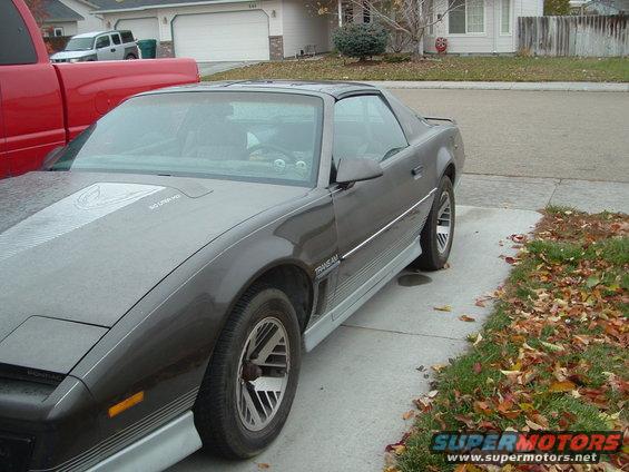 84-transam1.jpg 