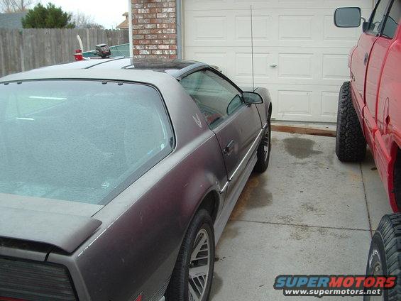 84-transam2.jpg 