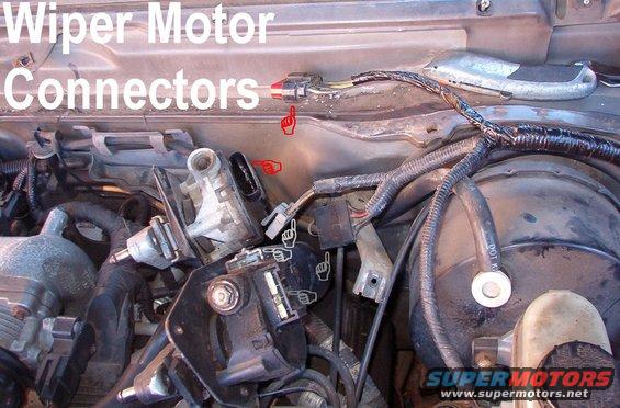 wipermotorconns92mgm.jpg Wiper Motor Connectors

Most replacement wiper motors have the new single connector, even for vehicles originally built with 2.  But rather than cut off the 2 connectors, I just added the single, allowing me to use either style of motor.