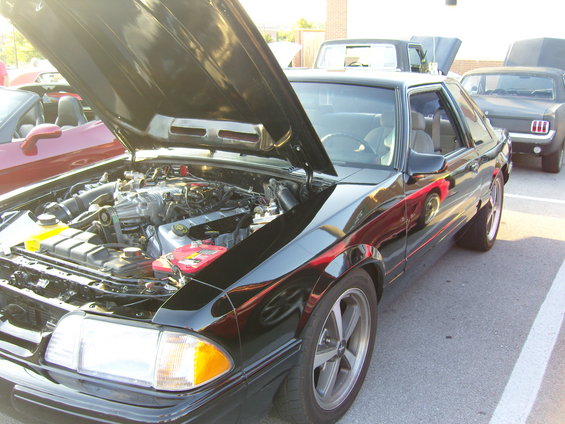 july2011-227.jpg 