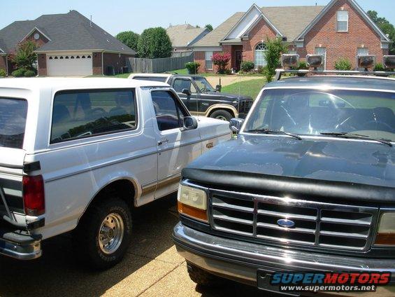 herd.jpg They're coagulating!

The white '95XLT is my neighbor's, and the green '93 belongs to a guy I met thru CraigsList.  Both are getting some much-needed repairs.