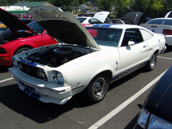 mustang-alley-somerset-2011-107.jpg 