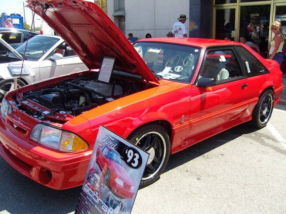 mustang-alley-somerset-2011-085.jpg 
