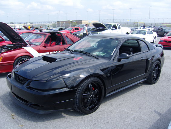 music-city-mustang-club-show-20011-071.jpg 