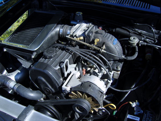 fall-2011-075.jpg 