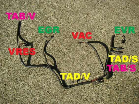 1990 Ford bronco vacuum lines #4