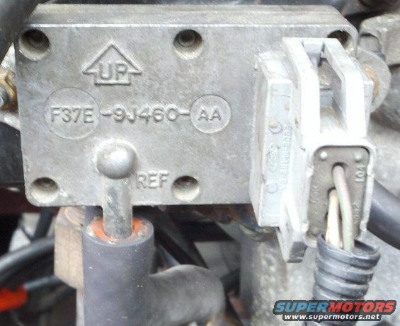 dpfe19955.8lfsb.jpg apparently, This is not common on the '95 FSB. The Motorcraft replacement is plastic and has a different connector. The tubes are also located differently. So I'm not sure what the correct replacement is.