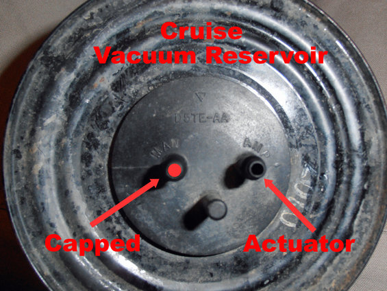 cruise-vacuum-reservoir.jpg 