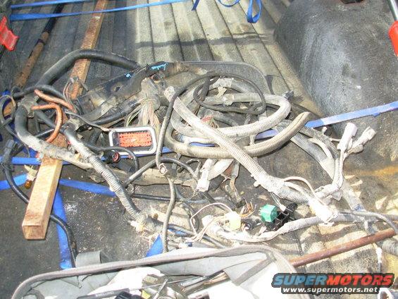 harnesses93bengfrm.jpg Wiring Harnesses

Engine harness from '93 F150 4.9L
Frame harness from '93 EB Bronco