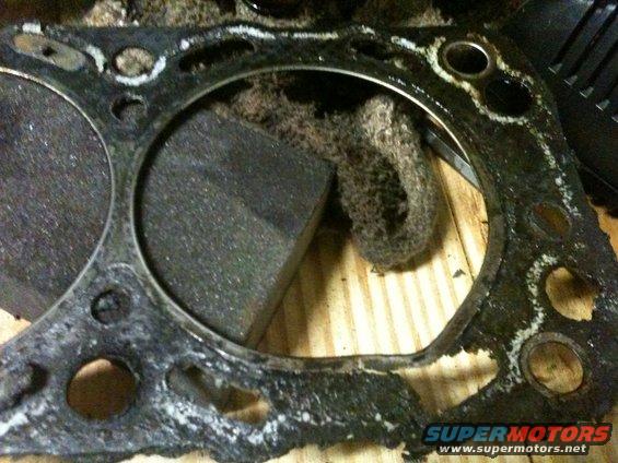 head-gasket.jpg 