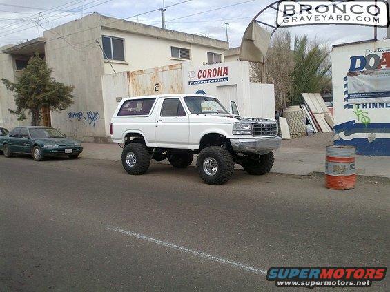 white-bronco-4.jpg 