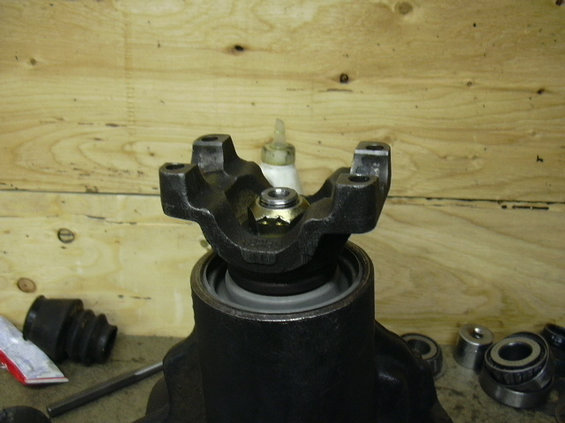 dscn1465.jpg New pinion nut and seal