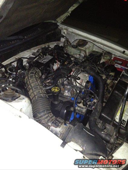 mustangengineinstalled.jpg What it looked like when I installed the engine