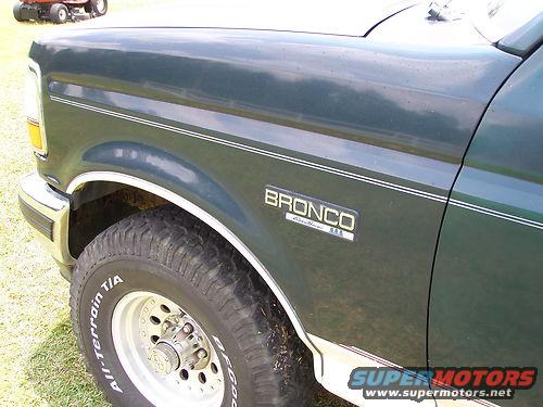 my-bronco4.jpg 