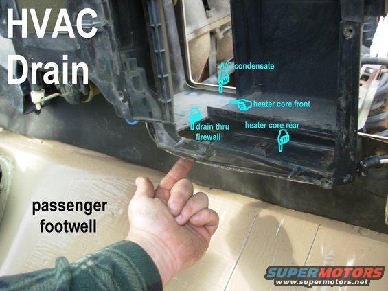 coredrain.jpg The drain for the HVAC system serves both the inside (heater core) box, and any spillover from the outside (evaporator) box.

The vertical part above my hand is the rear edge of the temperature blend door, where objects that fall into the defrost ducts often collect.  It's operated by the cable & lever out-of-frame at the top.  Many '92-95 trucks were retrofitted with the '96 dual (pull-pull) cable.

[url=https://www.supermotors.net/registry/media/1142745][img]https://www.supermotors.net/getfile/1142745/thumbnail/coolantneglect.jpg[/img][/url] . [url=https://www.supermotors.net/registry/media/883864][img]https://www.supermotors.net/getfile/883864/thumbnail/acboxin.jpg[/img][/url] . [url=https://www.supermotors.net/registry/media/830769][img]https://www.supermotors.net/getfile/830769/thumbnail/heatercore8096.jpg[/img][/url] . [url=https://www.supermotors.net/registry/media/1166439][img]https://www.supermotors.net/getfile/1166439/thumbnail/hvacvac.jpg[/img][/url]