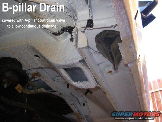 29bpillardrain.jpg In the late '80s/early '90s, the factory added 2 small holes for plastic pushpins that hold a steel plate over the original drain hole (which had a rubber plug in earlier years), and the whole thing is then covered in expanding foam.  But that keeps water in the threshhold channel.  So I removed all that and installed some spare cowl drains.  These pushpins are spaced slightly farther apart, but it fits well enough to let water/trash drain, but keep most critters & flying mud out.

[url=http://www.supermotors.net/registry/media/1035235][img]http://www.supermotors.net/getfile/1035235/thumbnail/bpillardrain.jpg[/img][/url] . [url=http://www.supermotors.net/registry/media/959062][img]http://www.supermotors.net/getfile/959062/thumbnail/23bpillardrain.jpg[/img][/url]