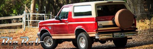 Ford bronco pinstripe #7