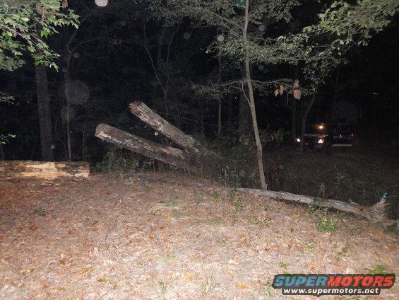 09stumps.jpg Greg wanted to stand the stump up, but I wanted video during daylight, and I wasn't sure about winching the stump fully across the creek from where I was parked, and I didn't want to have to climb a 10' stump in the dark to get my cable unhooked, so we decided to lower it and unhook until Thursday.  It took almost as long to chop the cable out of the end as it had taken to saw through the log, but I was being more careful since it's more expensive to repair 100' of 1/2&quot; cable than to replace a chain & bar.