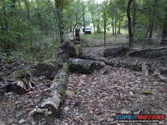 11spritf.jpg A lot of this was temporarily just a few inches off the ground last night when I stalled the winch.

The Sprite can is there for scale.